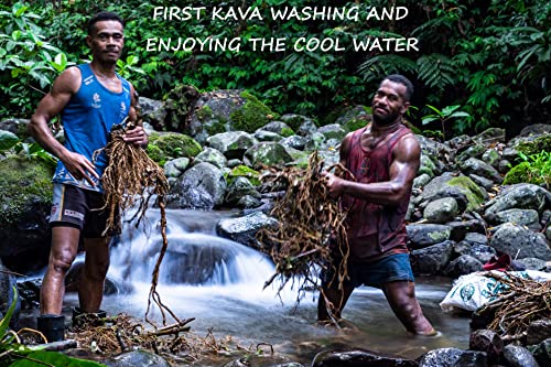 Heritage Kava Premium Fiji Noble Kava Root Powder (8 Oz) #TOP3