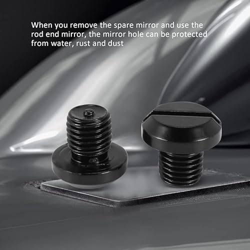 Bzocio Tappi per Fori Specchietti da 2 Pezzi