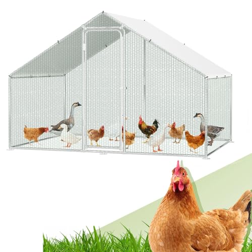 Randaco - Poulailler XL avec serrure - En acier galvanisé - Pour petits animaux - Installation à l'air libre - Poulailler avec toit - 3 x 2 x 2 m - Avec serrure et toile de couleur PE imperméable