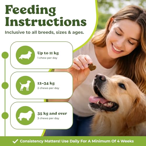 MyCompanion Hip & Joint Supplement for Dogs – Glucosamine, Turmeric & MSM – Supports Mobility, Flexibility & Joint Health – 120 Chicken Flavour Chews, 300g - Image 6