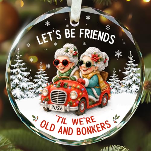 Best Friend Christmas Ornaments 2026 - Bestie Friends Ornaments for Women​