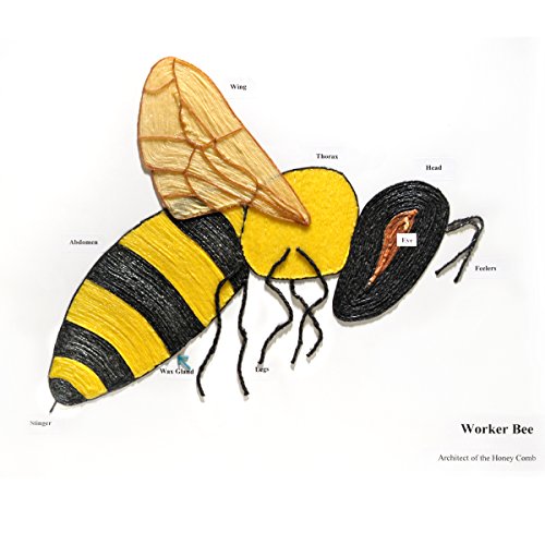 Wikkistix Single Color Yellow Creatables #TOP6