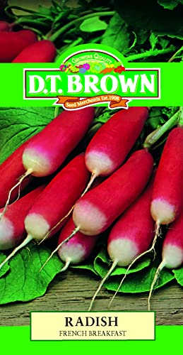 DT Brown Radish French Breakfast Seeds