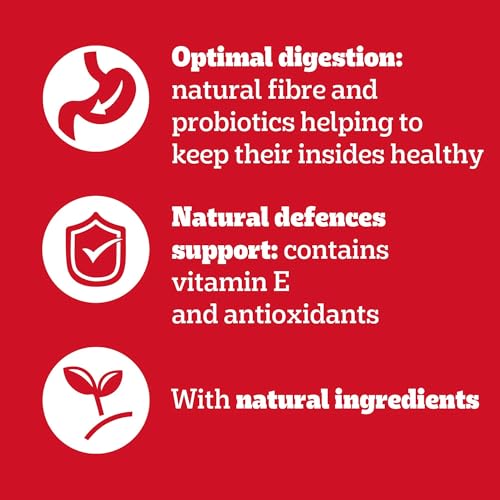 PEDIGREE Adult Hundenassfutter für ausgewachsene Hunde im Portionsbeutel – Gemischte Selektion in Sauce 4 Varietäten, 84 x 100g