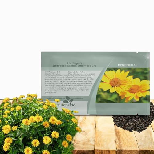 Outsidepride Summer Sun Heliopsis Seeds - 1000 Pcs. Perennial, Drought Tolerant & Resilient, Flower Seeds for Planting Vibrant, Tall Golden-Yellow Blooms for Xeriscaping & Pollinator Gardens