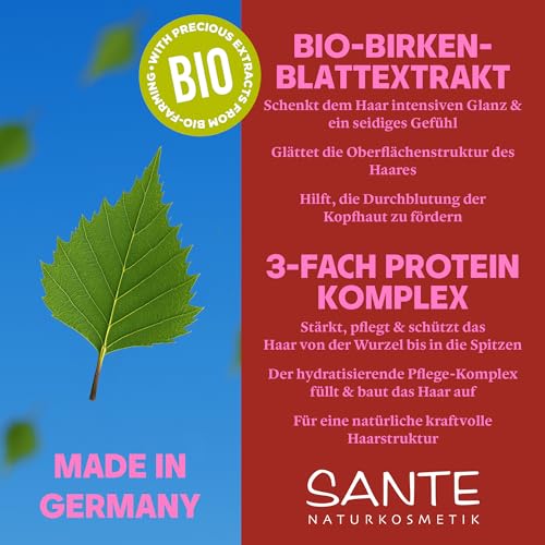 SANTE Naturkosmetik Glossy Shine Shampoo - 950 ml - mit Bio-Birkenblatt & 3-Fach Protein Komplex - für glanzloses Haar - silikonfrei & vegan - dermatologisch getestet