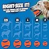 Chuckit! Ultra Ball Dog Toy - Medium Bouncy Fetch Balls for Dogs 20-60 lbs - Made from Durable Rubber - Floating Water Pet Toys - Size Medium - 2.5-inch Diameter - Pack of 12 #5