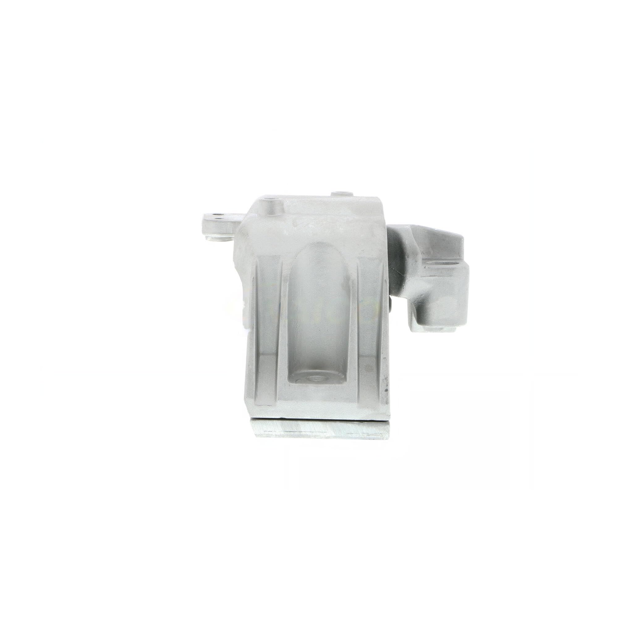 VAICO V10-1621 Sospensione, Motore