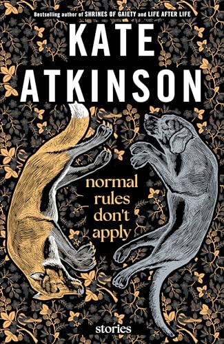 Normal Rules Don't Apply: Stories view 2