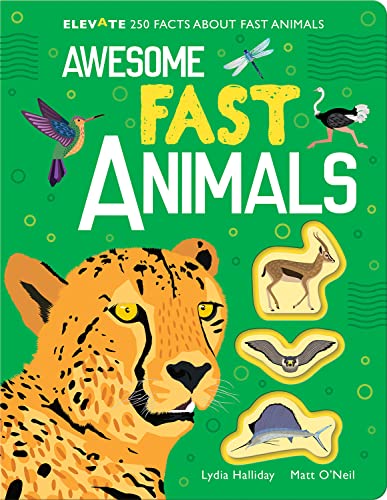 New Store Stock Awesome Fast Animals