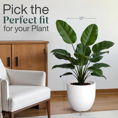 Image of YUCCABE ITALIA FOXB PCUP 12 INCH Pots for Plants Highly Durable Polymers Lightweight Indoor Outdoor Flower Pot Gamla Tree Planter Container Planters for Living Room, Balcony, Garden| White