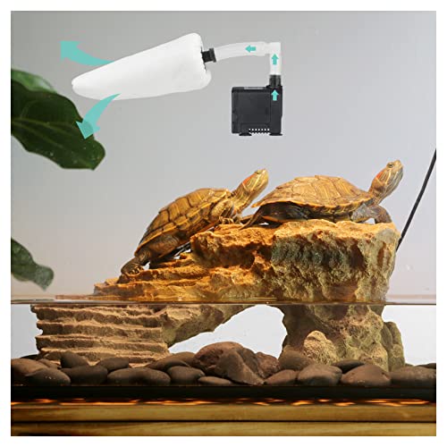 10 Best Turtle Tank Filter System [Buying Guide 2022] • Sacred Car