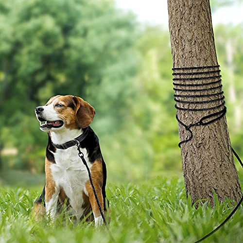 Joytale Reflektierend Schleppleine für Hunde, 10m Hundeleine mit Gepolsterten Griff und 2 Karabinerhaken, Nylon Lange Seil Trainingsleine für Welpen, Kleine Hunde, Schwarz
