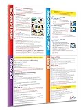 Erste-Hilfe-Poster für Säuglinge und Kinder, laminiert, 43,2 x 55,9 cm, CPR, Choking, Poison, Burns - Heimlich Maneuver - Schulkrankenschwester, Vorschule, Kindertagesstätte, Babybedarf