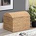 eHemco Heavy-duty Water Hyacinth Wicker Storage Trunk with Metal Frame and Arch Lid, 24.4 by 16.5 by 18.5 Inches, Natural