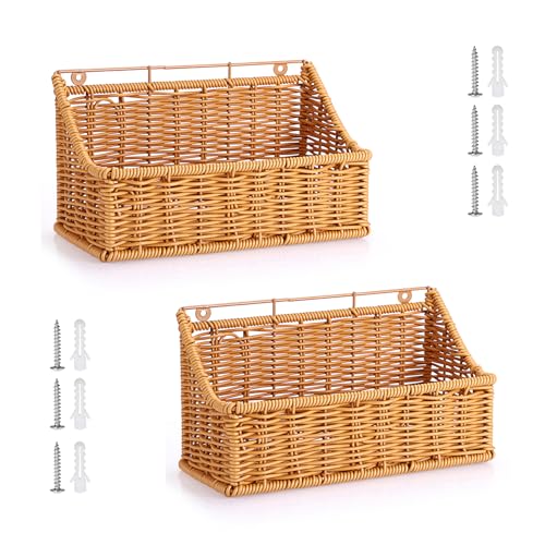 OwnMy 2PCS Plastic Wicker Hanging Basket Wall Mount Storage Baskets