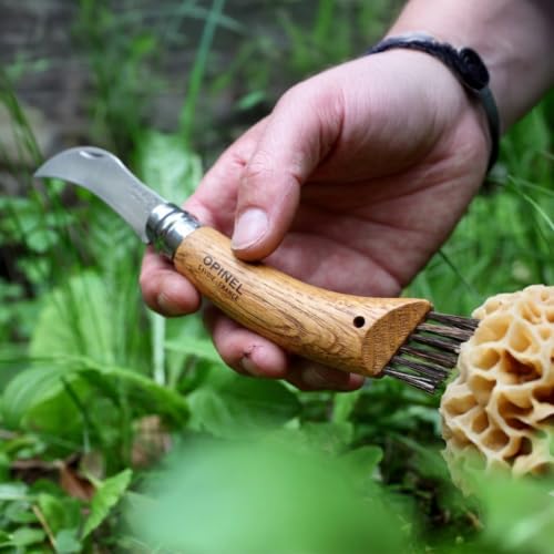 Foto von Opinel Pilzmesser Länge geöffnet, Wood, Braun, 20.0 cm, 254148