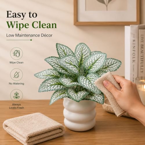 Image of Artificial Fittonia Nerve Plant in White Ceramic Pot, Realistic Faux Potted Desk Plant, Low Maintenance Small Fake Tabletop Greenery for Office, Living Room & Home Decor