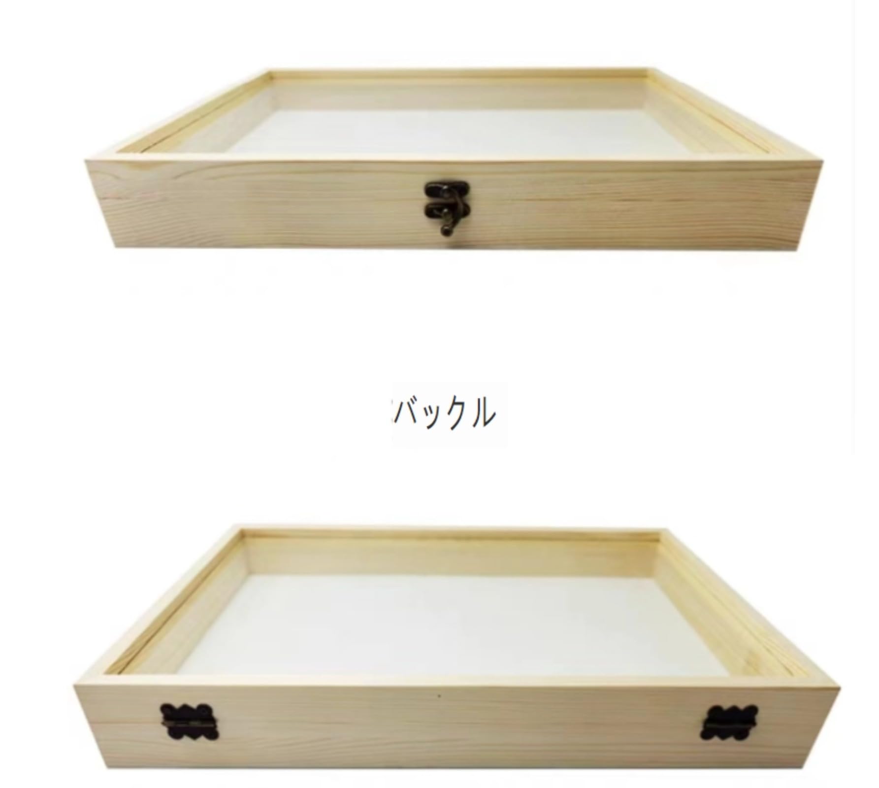 Amazon | 標本箱透明昆虫蝶標本箱 昆虫標本展示ボックス 蝶園