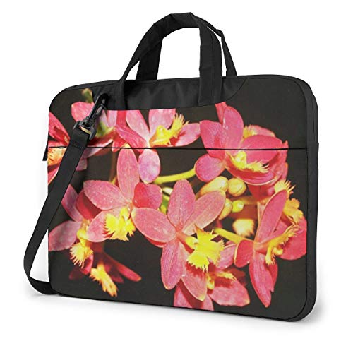   PCP[X m[gp\RobO bvgbv یP[X PCobO Ռz y rWlXobO nhobO u[tP[X 񂰃obO t ΂ߊ|obO 13/14/15.6C`