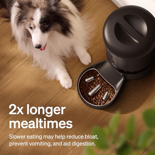 PETLIBRO Automatic Dog Feeder with Camera, Auto Cat Food Dispenser Slow Feeders Dogs Bowl, 1080P HD Video with Night Vision, 5G WiFi with 2-Way Audio, Stainless Steel Slow Food Tray for Small Dogs - Image 5