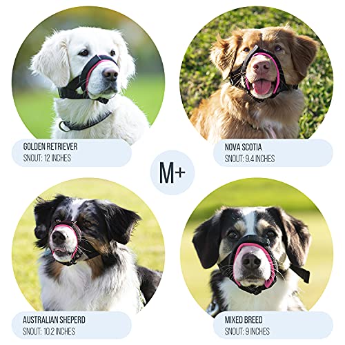 Image of Gentle Muzzle Guard for Dogs - Prevents Biting and Unwanted Chewing Safely Secure Comfort Fit - Soft Neoprene Padding - No More Chafing - Training Guide Helps Build Bonds with Pet (S+, Pink)