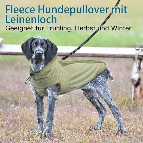 Katzinst Wintermantel Hund - Fleece Hundepullover Mittelgroße Hunde mit Leinenloch | Leichter Hundemantel mit Kapuze, Mantel für Hunde Winter, Französische Bulldogge, Grün (M)