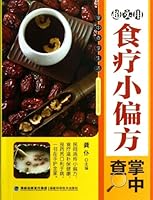 Handbook of Ultra-Practical Therapeutic Small Recipes 7533542967 Book Cover