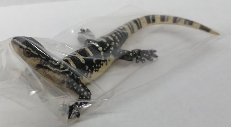 爬虫類用品色々 Amazon | トカゲ、爬虫類ライト用ヒートランプ,セラミックバス