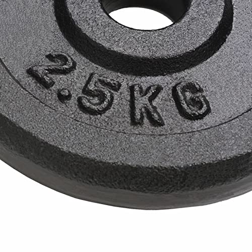 Tidyard Gewichtsschijven, gewichtsplaten, 8 x 2,5 kg, van gietijzer, halterschijven 20 kg, reservegewicht voor fitnessstudio, gewichtsschijven 20 kg, gewichtsschijven 20 kg - Afbeelding 4