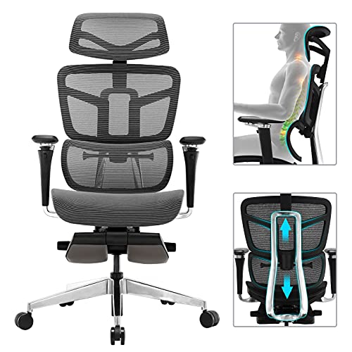 Ergonomic Office Chair Mesh Desk Chair with 5D Armrest, Computer