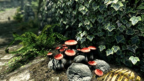 Image of The Elder Scrolls V: Skyrim Special Edition - Xbox One (Renewed)