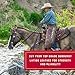 Weaver Equine 2-Piece Saddle Strings Handy Pack, Top Grade Strong Latigo Leather, Stylish Pliable Horse Saddle Accessories, 1/2