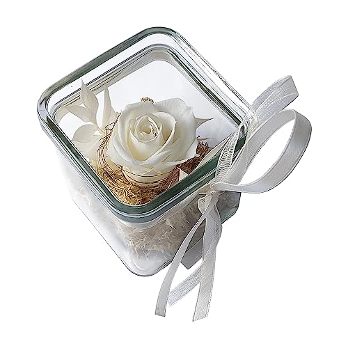 BEIJA FLOR Handgefertigte konservierte Rose im Glaswürfel 8 cm - Echte Ewige Rose - 3 Jahre haltbar - stilvolle Dekoration mit Infinity Rose - Geschenk für jeden Anlass – Made in Germany (Weiß)