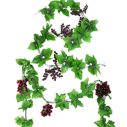 Hojas De Parra Lidl ️ 2024