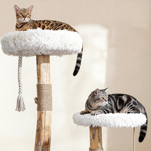 Torre moderna para gatos de interior de madera sólida con poste rascador miniatura 6