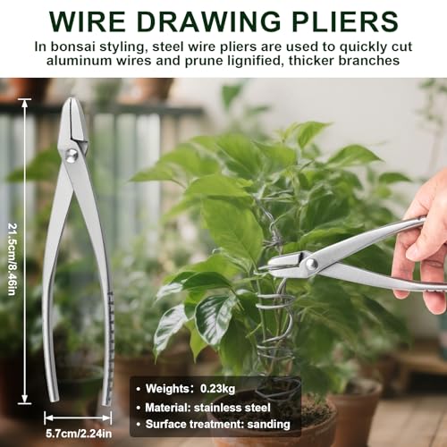 Kit de 6 herramientas para bonsái para poda y modelado miniatura 5