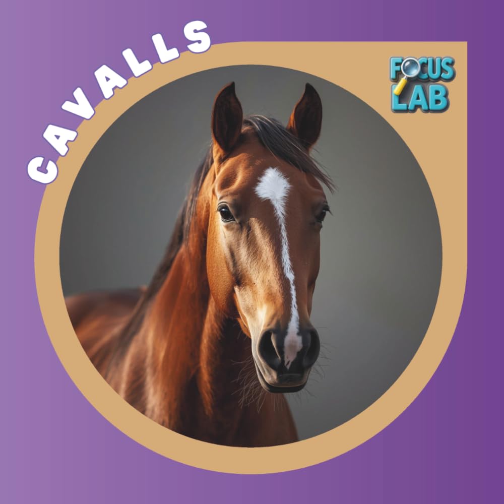 Cavalls: Races, cura i adopció per a infants, guia il·lustrada en català (Focus Lab Col·lecció A: Animals)