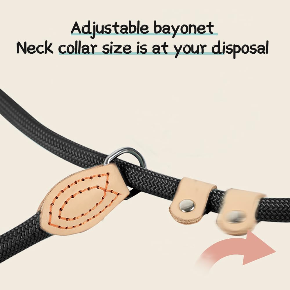 Laisse de retriever robuste et résistante aux intempéries pour chiens de toutes tailles, laisse et collier à mettre rapidement en un, 150 cm, laisse douce au pelage avec arrêt de traction intégré