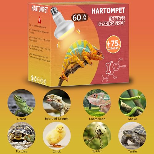 Image of 60W Intense Basking Spot Lamp - UVA Daylight Heat Bulb for Reptiles and Amphibians, Simulates Natural Sunrise and Sunset, Ideal for Bearded Dragons, Snakes, Lizards & Chicks | 2 Pack