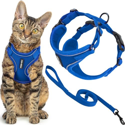 Image of Voyager Escape-Proof Step-in Lock Cat Harness & 5ft Neoprene-Handle Leash Set All-Weather Mesh with Reflective Stitching for Small to Large Cats by Best Pet Supplies, Royal Blue (327), XS