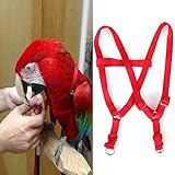 Yuehuam Parrot Flying Leash 120CM Adjustable Bird Harness Anti-bite Traction Training Flying Rope for Parrots African Grey Cockatoo Reptile Lizard Conure