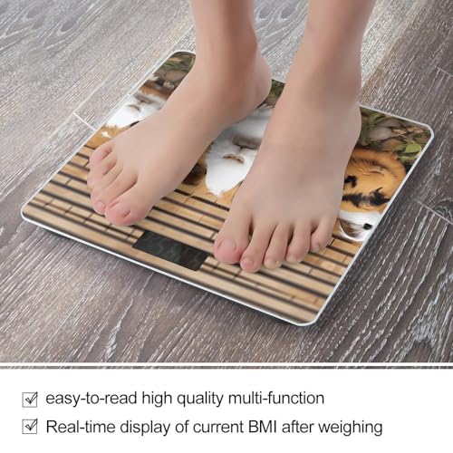 Báscula de baño digital con vidrio templado y LCD 400 lb miniatura 5