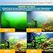 FUMAK U - V Aquarium Filter for Green Water, Fish Filter with Timer, Dual Mode(Aeration/Rainfall) for 10-40 Gallon Tanks, Flow Rate & Direction Adjustable