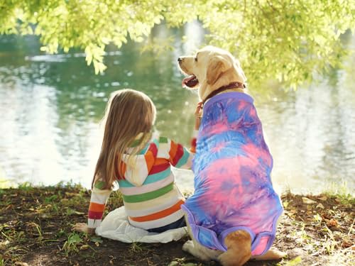 Image of Dog Surgical Recovery Suit, After Spay Abdominal Wounds Post Surgical Suit for Dogs Female Male Dog Onesies, Anti Licking Breathable Dog Shirt