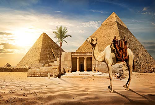 7x5ft Pyramid Backdrop Desert Camel Photography Background Ancient Egyptian Pyramid Backdrop Sand Dunes Desert Scene Coconut Tree Scenery Background