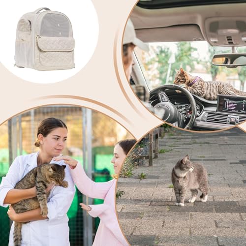 Sac à dos de transport pour chat pliable pour partager chaque aventure ensemble