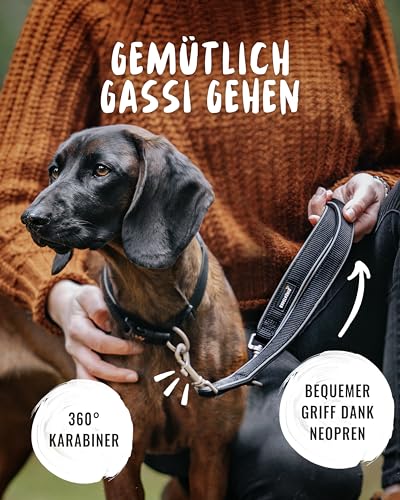 Rudelkönig Führleine Paola - 2,30m Länge - Verstellbare Hundeleine große & mittelgroße Hunde - Reflektierende Hunde Leine in schwarz – Ansicht 5