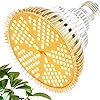 MILYN LED Plantenlamp E27 100W Zonachtig Volledige Spectrum Kweeklampen voor Kamerplanten, 150 Leds Plant Gloeilamp voor Hydrocultuur Tuin Kas Kamerplanten Zaailingen Groenten, Bloemen