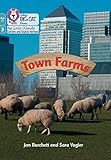 Town Farms: Phase 3 Set 1 (Big Cat Phonics for Little Wandle Letter)